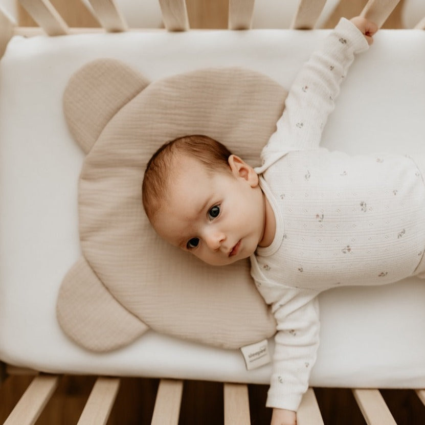 Sleepee Teddy Bear Muslin Pillow (colours)