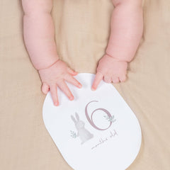 Little Dutch Baby Milestone Cards - Baby Bunny