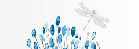 LOVI Trends Bottle Botanic - 240 ml