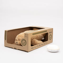 Moonie Organic Humming Seal with a lamp - Cappuccino