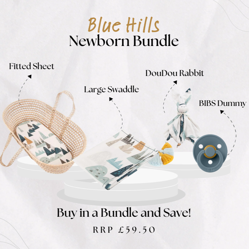 Large Newborn Gift Bundle: Blue Hills