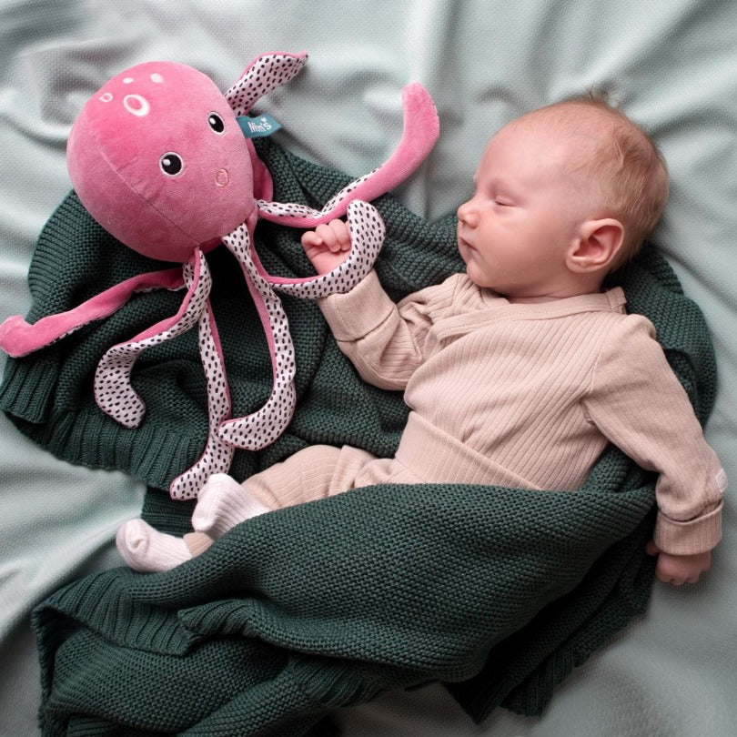 Octopus 2024 baby toy