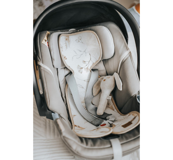 BabySteps - Summer Inlay for Baby Car Seat (variants)